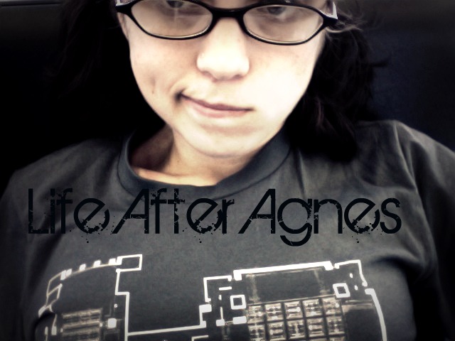 Life After Agnes