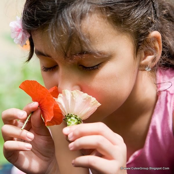 Flower Emotions The World Of Fun Cutee Group