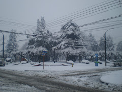 Plaza de Curacautín-Nevado