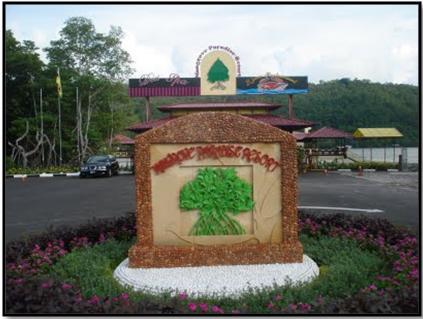 mangrove resort brunei