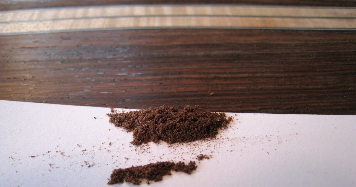 Building an Acoustic Guitar in your Kitchen Scraping the Binding and Pore Filling