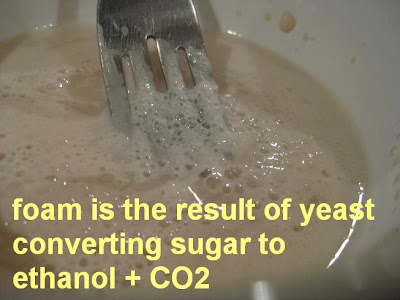 Foamy Yeast