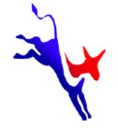 [ColorLeapingDonkey.jpg]