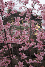 Osaka Castle