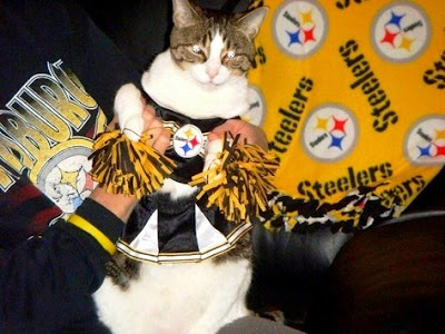 Image result for cat cheerleader