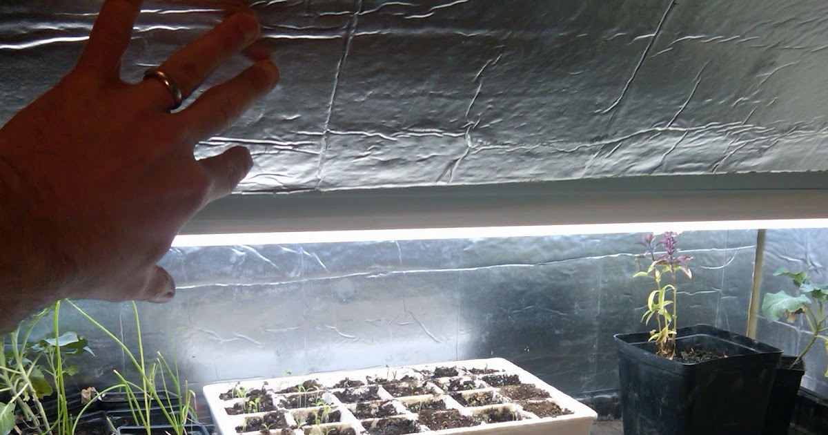 Montana Wildlife Gardener Build an indoor seed germination chamber