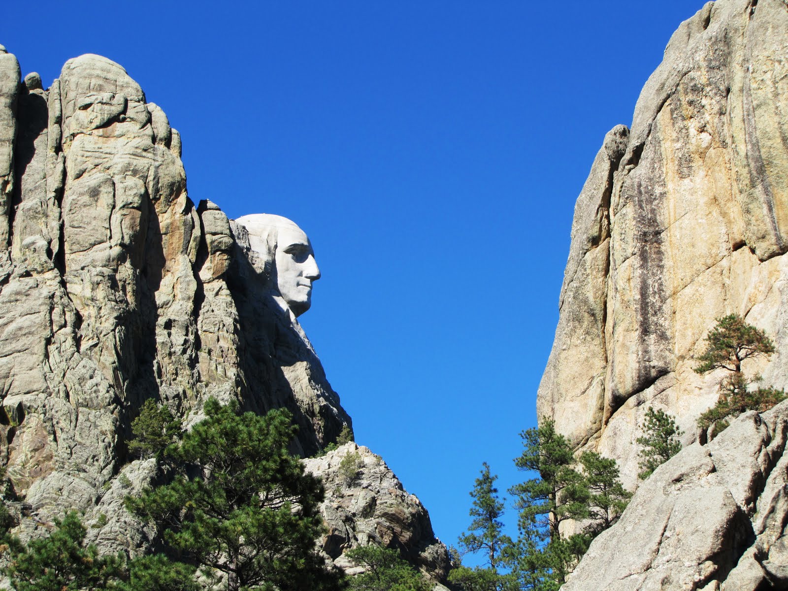 Iron Horses Mount Rushmore/Custer State Park/Black Hills National Forest