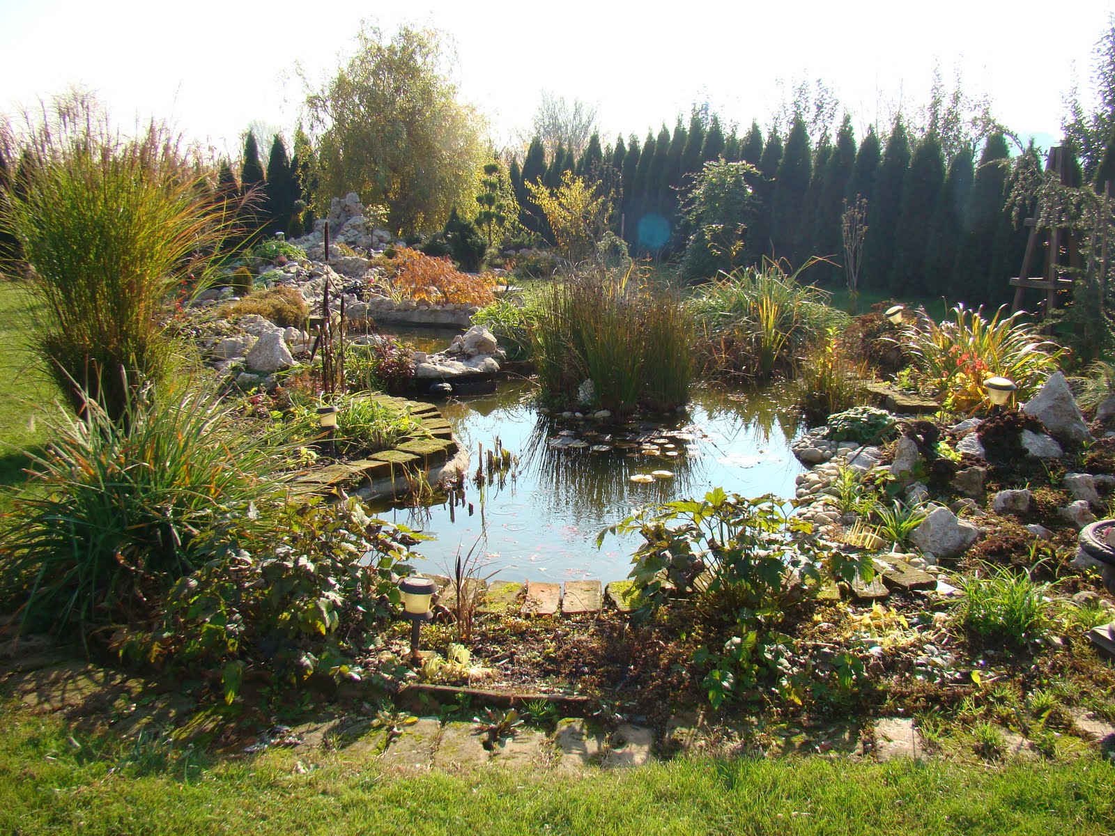 DSC05757.JPG