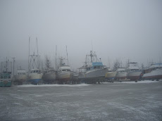 Boats Hauled Out in Skagway