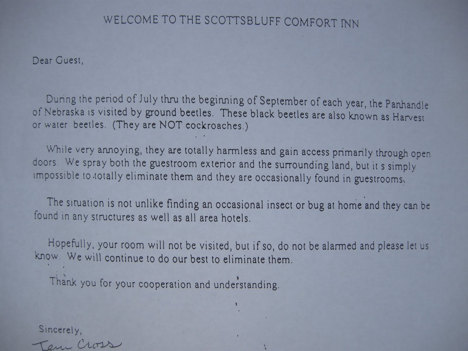 Kitchens Are Monkey Business Scottsbluff Nebraska Comfort Inn