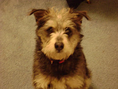 Artie Dumass