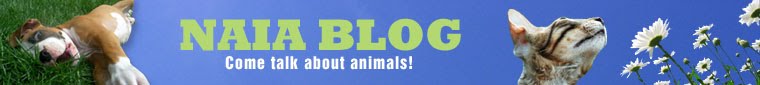 NAIA BLOG