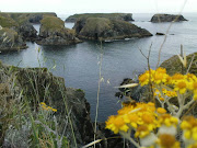 Les rochers de Port Goulphar