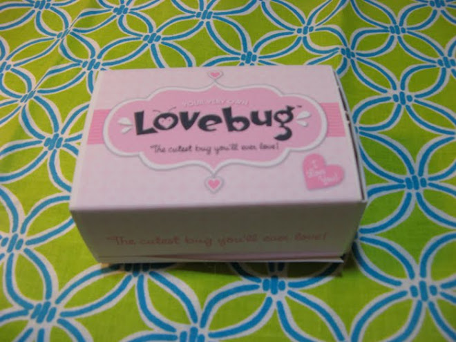 Lovebug Box