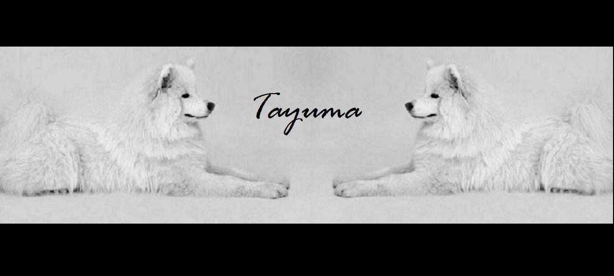 Tayuma