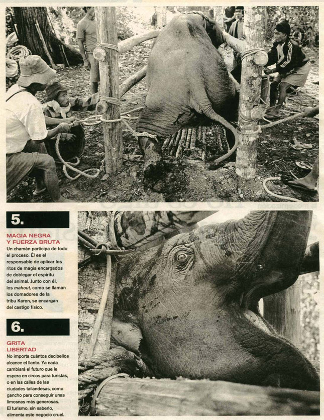 ecologia ecologia