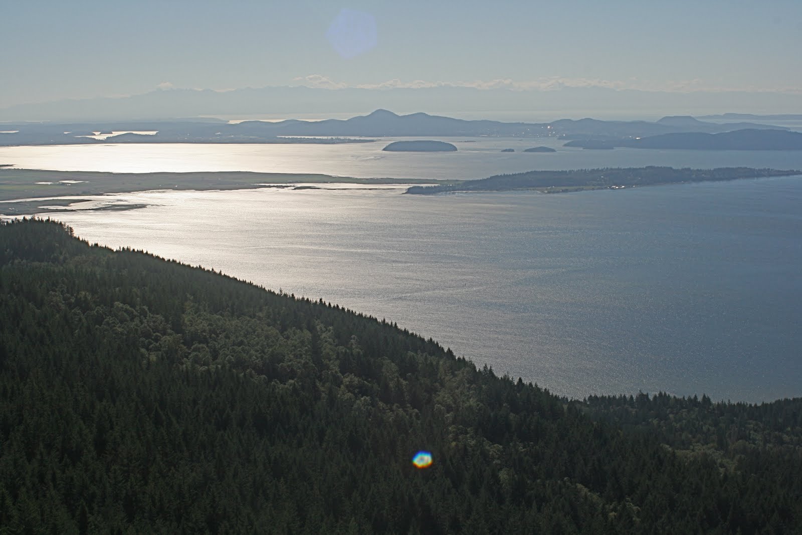The Birds and the Bees Northwest Washington Hikes Oyster Dome