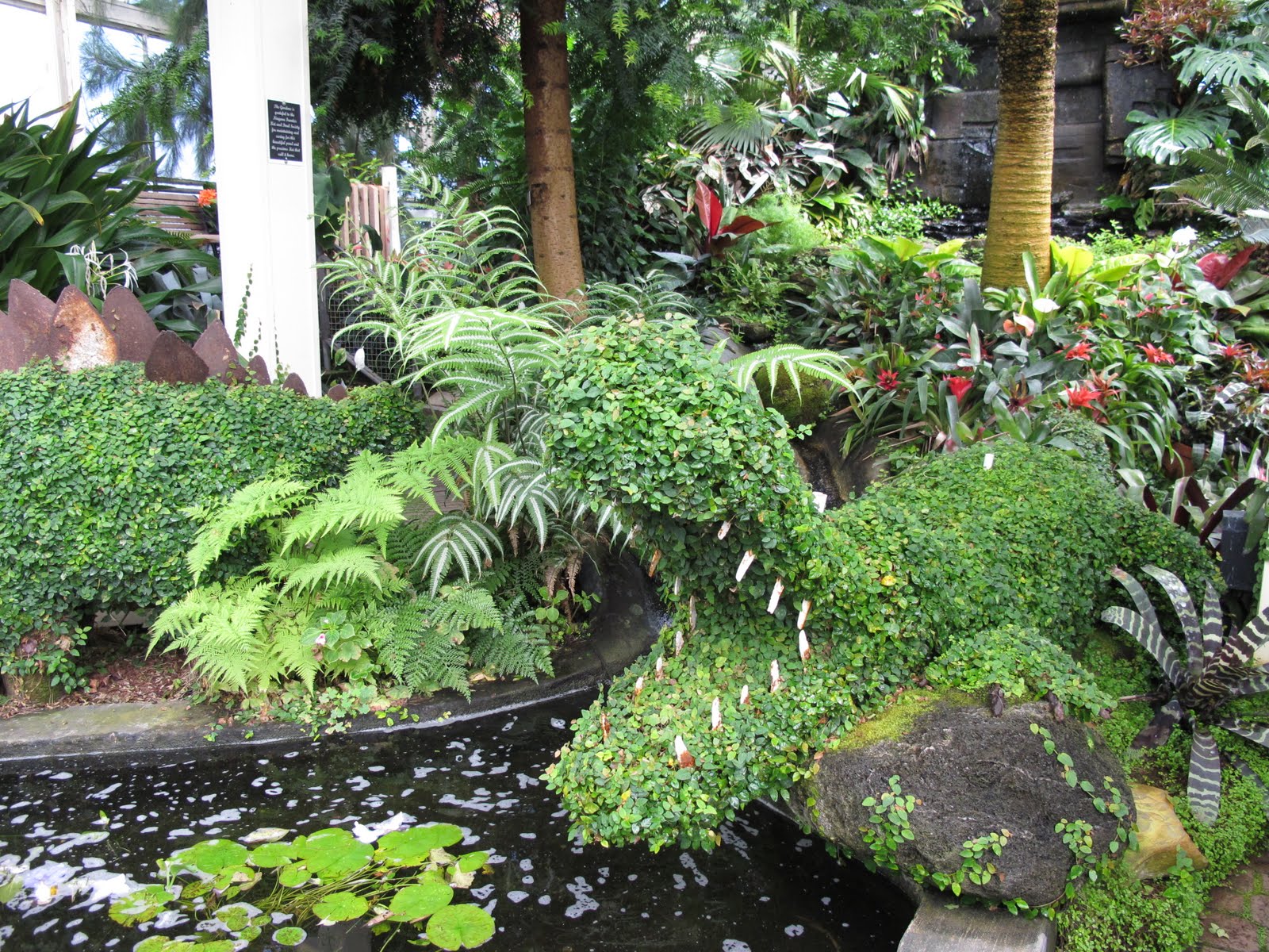 Native Bottlebrush Buckeye Is A Wonderful Shrub For Making A