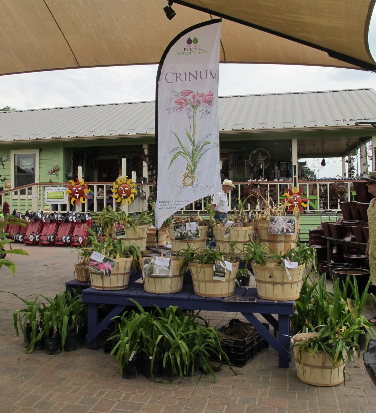 Bulbs and Buddies Lessons In Companion Planting, Part One