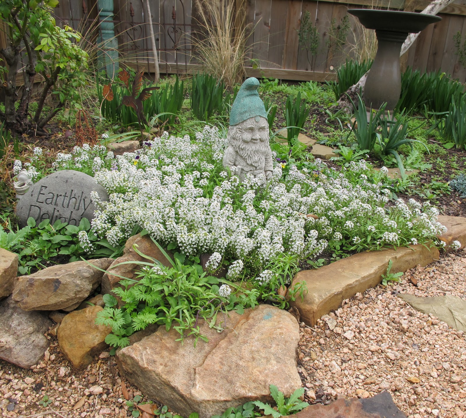 Defining Your Home Garden And Travel Inspired By Spirea