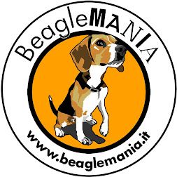 Beaglemania...sito,blog e forum dedicato ai cani di razza Beagle!!!