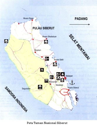 Taman Nasional Siberut, The Asian Galapagos ~ Kumpulan Artikel
