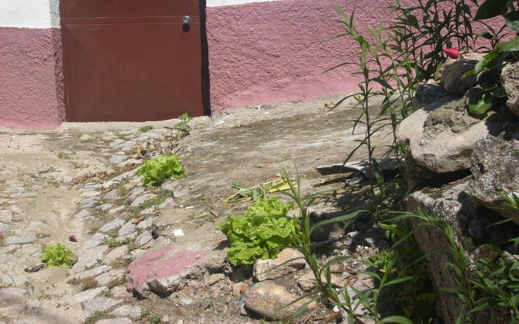 [S6301305.JPG]