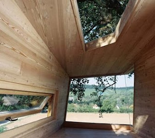 Interior casa del árbol