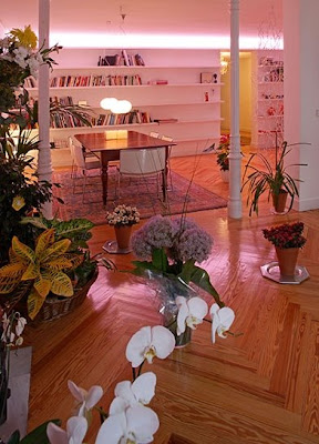 Interior departamento