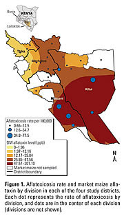 Aflatoxin Contamination of Commercial Maize Products during an Outbreak of Acute Aflatoxicosis in Eastern and Central Kenya