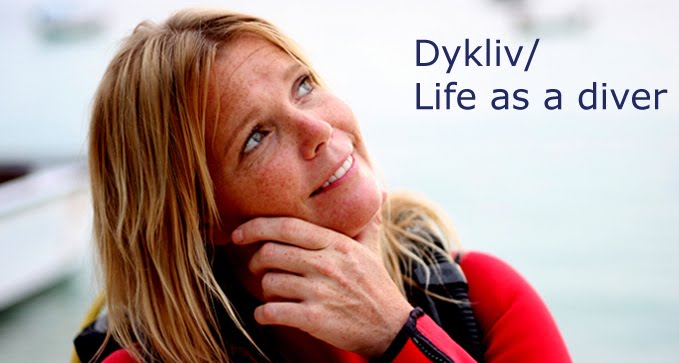 Dykliv/Life as a diver