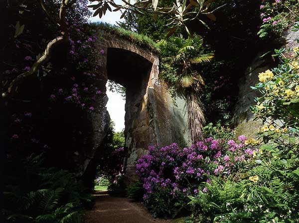 [belsay_gardens_600.jpg]