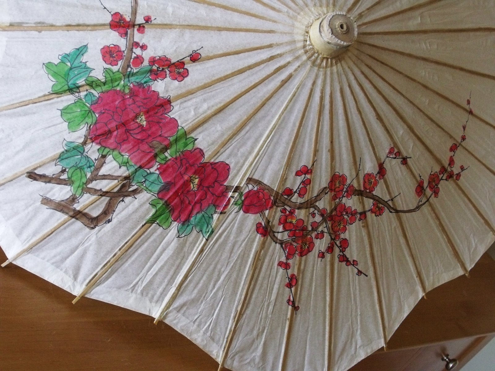 [swimming+with+dad+022.JPG]