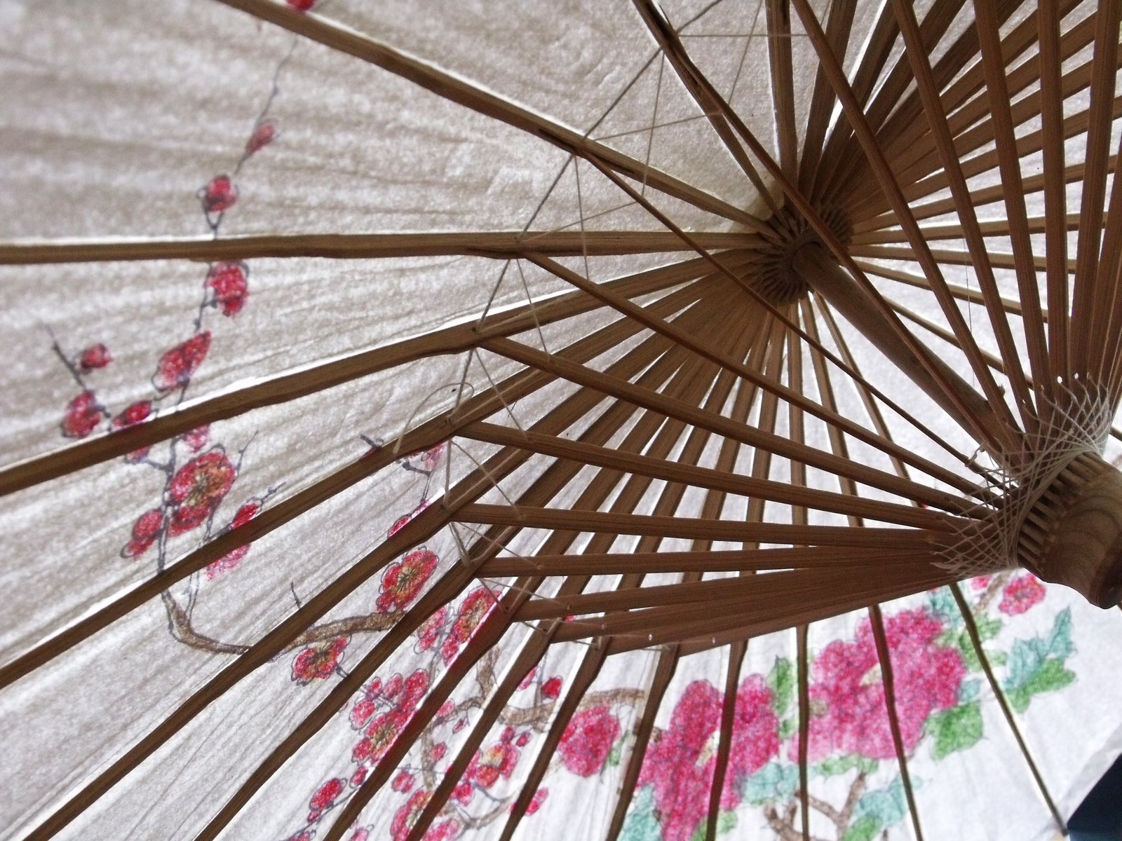 [swimming+with+dad+024.JPG]