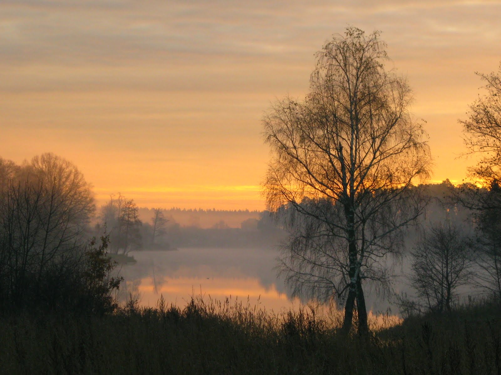 Photo-Club: The Russian Scenery