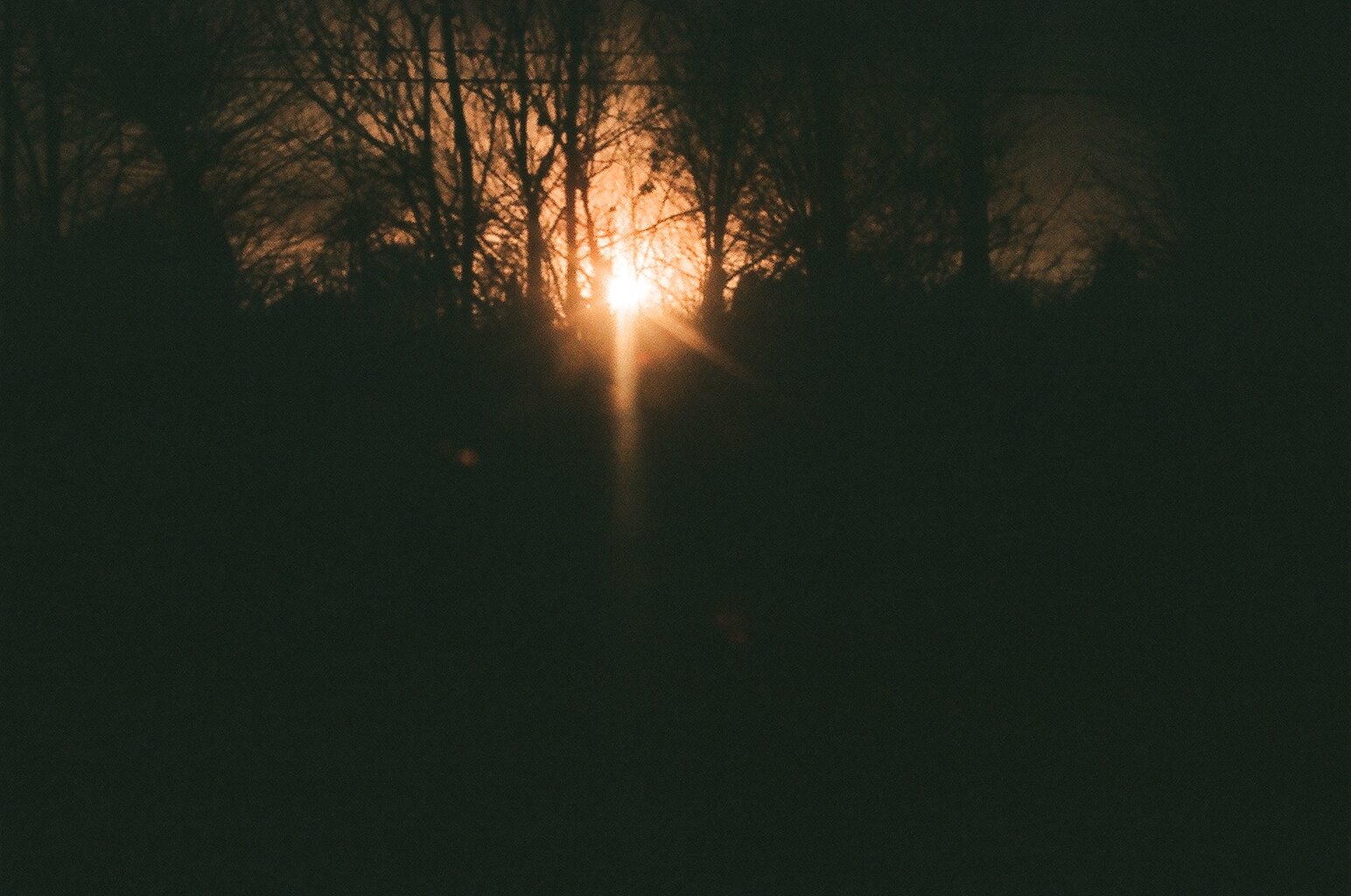 [26370018.JPG]