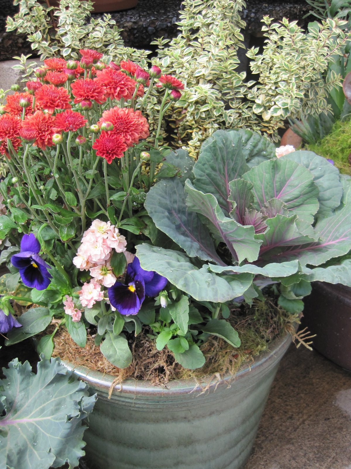 [veg+container2.JPG]