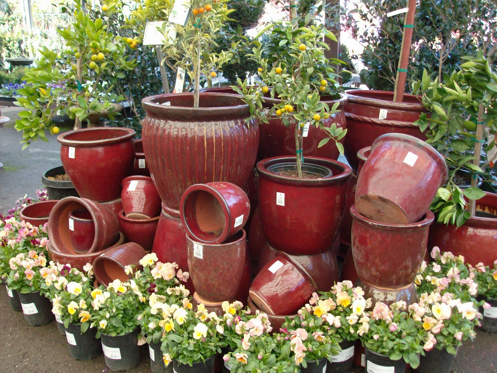 [HPIM0783.JPG]