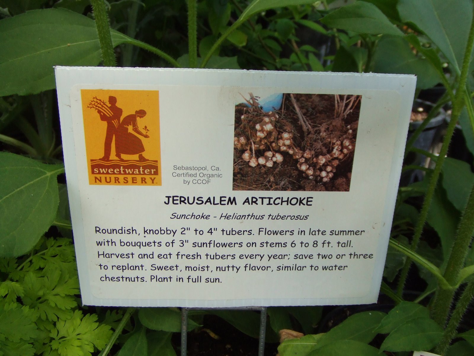 [DSCF1035.JPG]