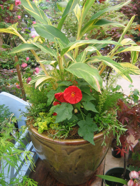 [planters+020.JPG]