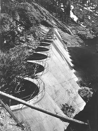 kidneys in body | tauigess