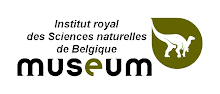 Muséum des Sciences naturelles de Belgique.