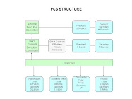 SPVA PCS Structure