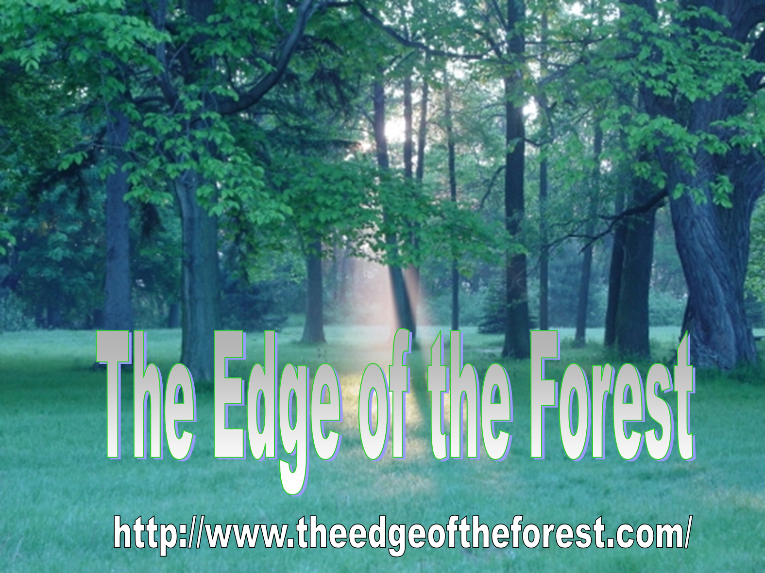 [edge+f_Spring_Summer.png]