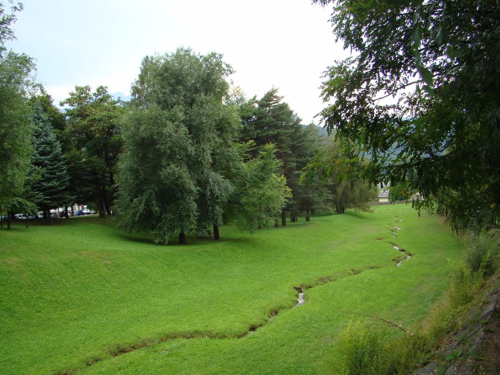 [DSC04667.JPG]