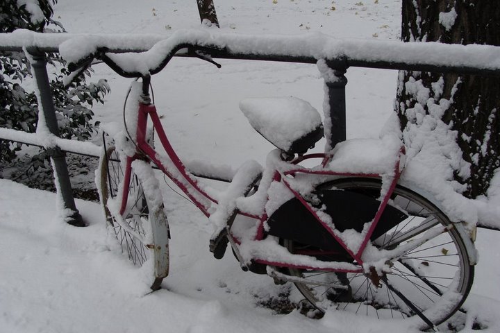 [DSC00109.JPG]
