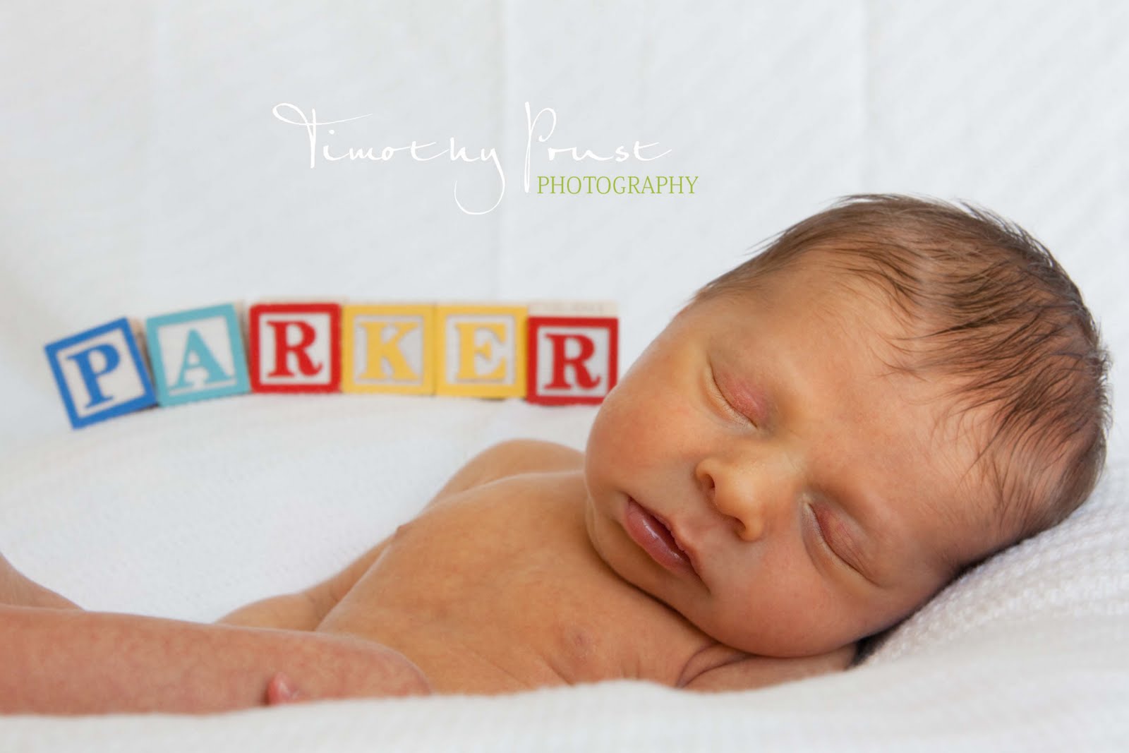 Timothy Prust Photography September 2010