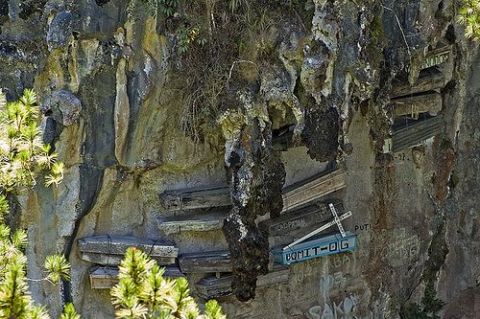 [cliffscementary7ml7.jpg]