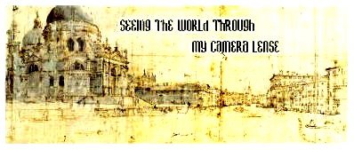 seeing the world through my camera lense
