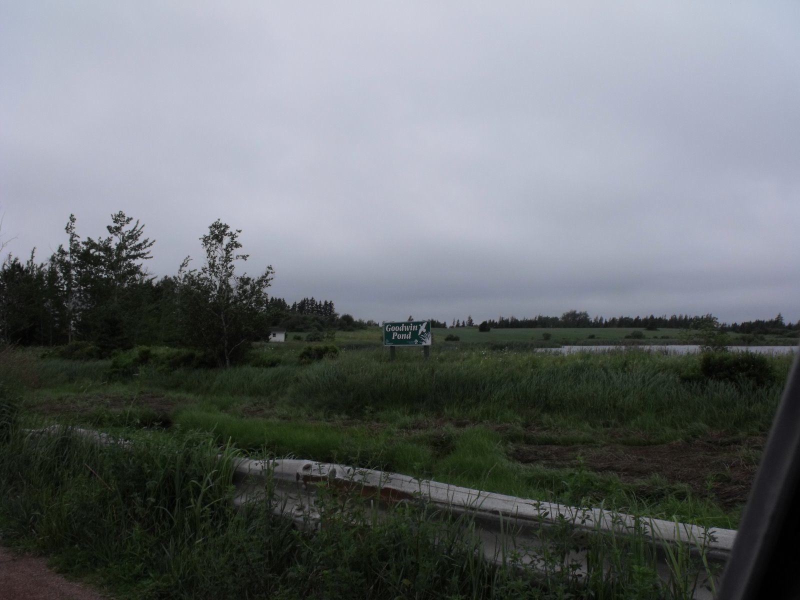 [DSCF0230.JPG]